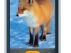 Firefox OS camera